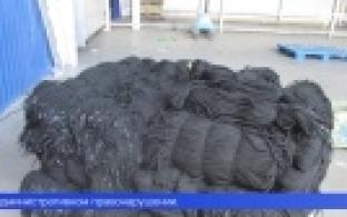 Таможня не дала добро на ввоз через аэропорт «Кольцово» излишков необычного груза