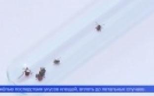 Почти 26 тысяч свердловчан обратились за медицинской помощью после укусов клещей