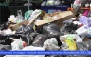 К решению проблемы с вывозом мусора подключатся городские власти