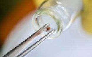 21 тысяча жителей Свердловской области пострадала от укусов клещей с начала сезона