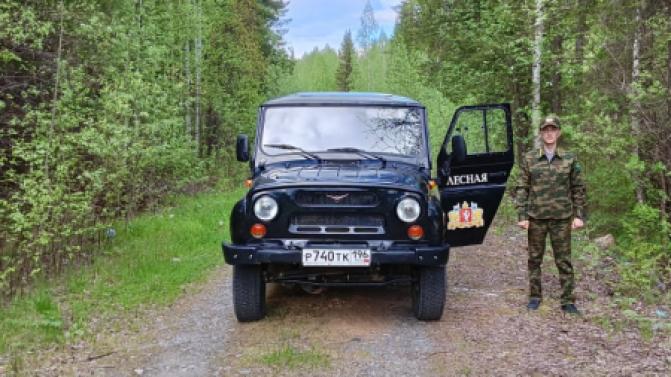 Площадь лесных пожаров в Свердловской области сократилась за выходные дни в 10 раз