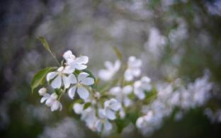 В Первоуральске к концу рабочей недели станет прохладнее