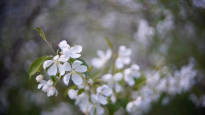 В Первоуральске к концу рабочей недели станет прохладнее