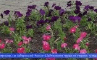 Улицы Первоуральска начали украшать живыми цветами