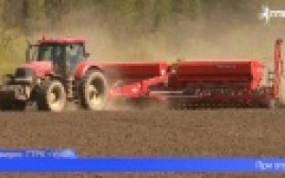 Уральские учёные дали свой прогноз на урожай лета этого года