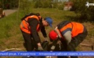 Работа трудовых отрядов стартовала в Первоуральске