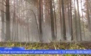 Запрет на посещение лесов установлен в Свердловской области