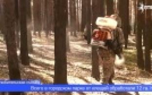 В Первоуральске начали акарицидную обработку общественных территорий