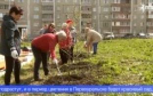 В Первоуральске высадили 90 молодых деревьев