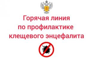 Горячая линия по вопросам клещевых инфекций начала работать в Свердловской области