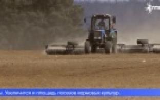 В Свердловской области в этом году планируется засеять 770 тысяч гектаров земли