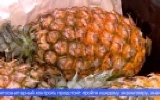 Четыре тонны манго и столько же ананасов прибыло в Свердловскую область из Китая