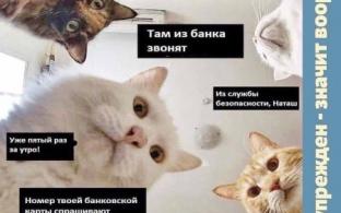 Правоохранители предупреждают: выявлена новая схема мошенничества