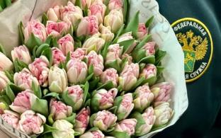 900 тонн цветов завезли на Урал к 8 Марта