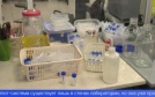 Учёные отмечают свой профессиональный праздник – День российской науки