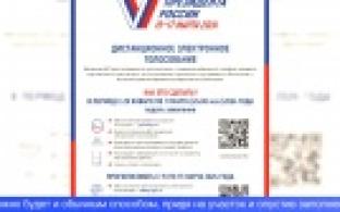 Голосовать можно там, где вам удобно