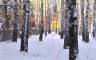 В Свердловской области началась подготовка к Всероссийскому голосованию за объекты благоустройства