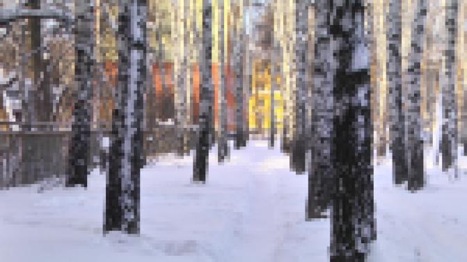 В Свердловской области началась подготовка к Всероссийскому голосованию за объекты благоустройства