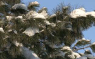 На Средний Урал пришли аномальные морозы