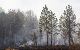 Свердловская область получит 690,2 миллиона рублей из федерального бюджета