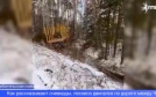 Под Первоуральском лесовоз вылетел с дороги