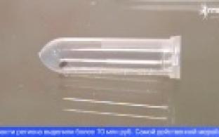 На Среднем Урале подвели итоги сезона активности клещей