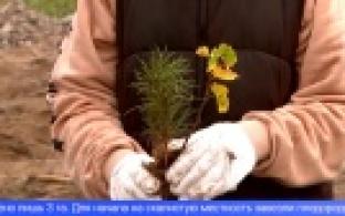 В Свердловской области появился полигон для рекультивации земель