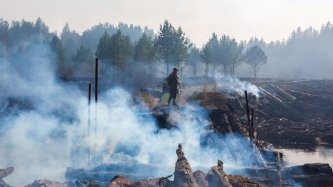 Локализованы все лесные пожары, действующие в Свердловской области