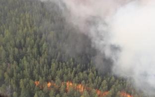 9 лесных пожаров ликвидировано на Среднем Урале за минувшие сутки