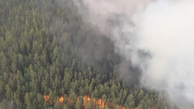 9 лесных пожаров ликвидировано на Среднем Урале за минувшие сутки