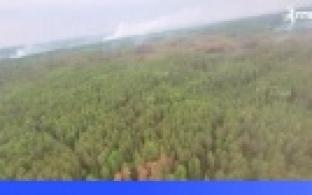 Режим ЧС регионального характера ввели в лесах Свердловской области