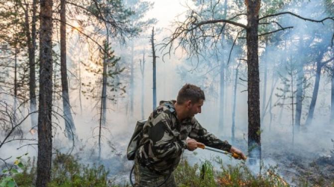 Борцы с лесными пожарами в Свердловской области получат выплаты от губернатора
