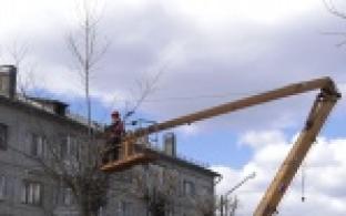 В Первоуральске кронировали более четырёх сотен деревьев