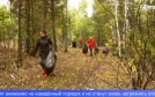 Первоуральские эковолонтёры вышли на очередную уборку