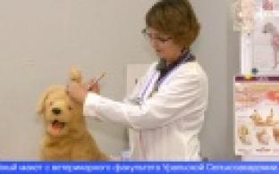 В Первоуральске состоялся фестиваль «Город профи»