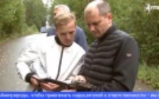 В лесах Свердловской области разместили фотоловушки для тех, кто мусорит