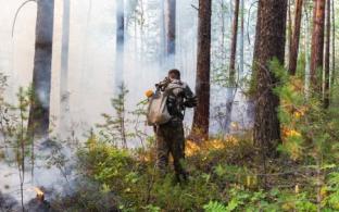 Все лесные пожары ликвидированы в Свердловской области