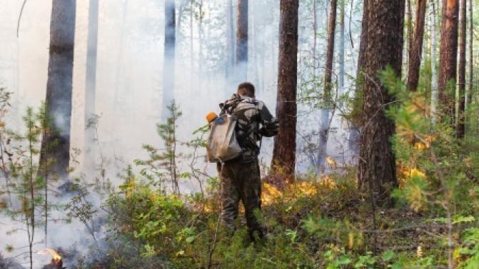 Все лесные пожары ликвидированы в Свердловской области
