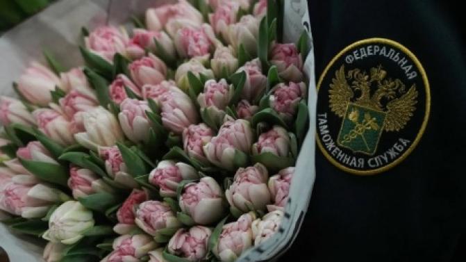 168 тонн цветов оформили таможенники в Кольцово в преддверии 1 сентября