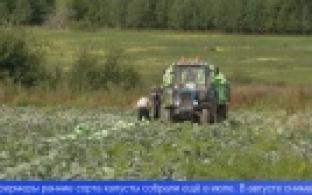 Ежегодная уборочная кампания стартовала на Урале