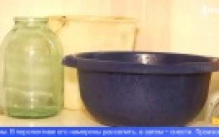 Жильцы дома на улице Цветочная страдают от прохудившейся крыши