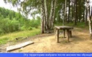 Эковолонтёры приглашают первоуральцев на субботник