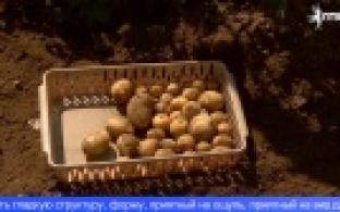 В Свердловской области обсуждают вопросы продовольственной безопасности