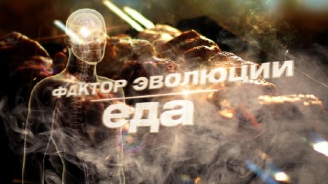 Документальный фильм "Фактор эволюции. Еда" – на телеканале ПТВ
