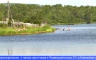 МЧС напоминает: на Среднем Урале безопасными признаны лишь несколько пляжей