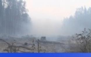 В Свердловской области ликвидировали все природные пожары