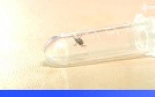 Более 17-ти тысяч жителей Среднего Урала пострадали от укусов клещей