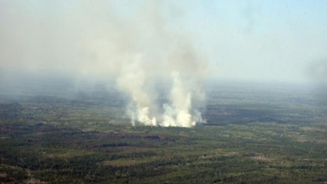 Площадь лесных пожаров за сутки сократилась в два раза на Среднем Урале