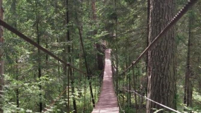 Запрет на посещение особо охраняемых природных территорий частично снят на Среднем Урале