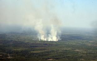 Более 850 специалистов ведут борьбу с природными пожарами в Свердловской области